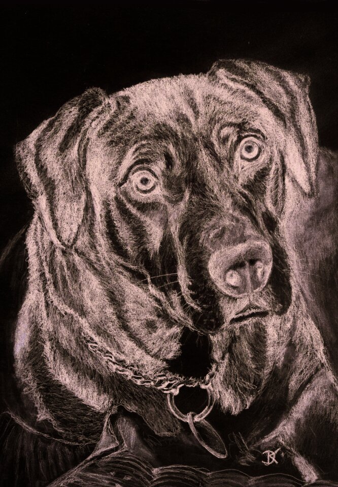 Drawing pencil drawing Free illustrations