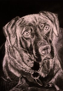 Drawing pencil drawing Free illustrations