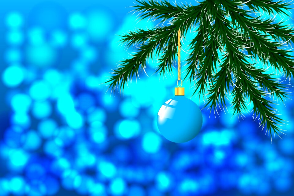Holiday winter ornament