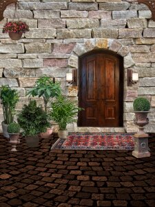 Door plants garden