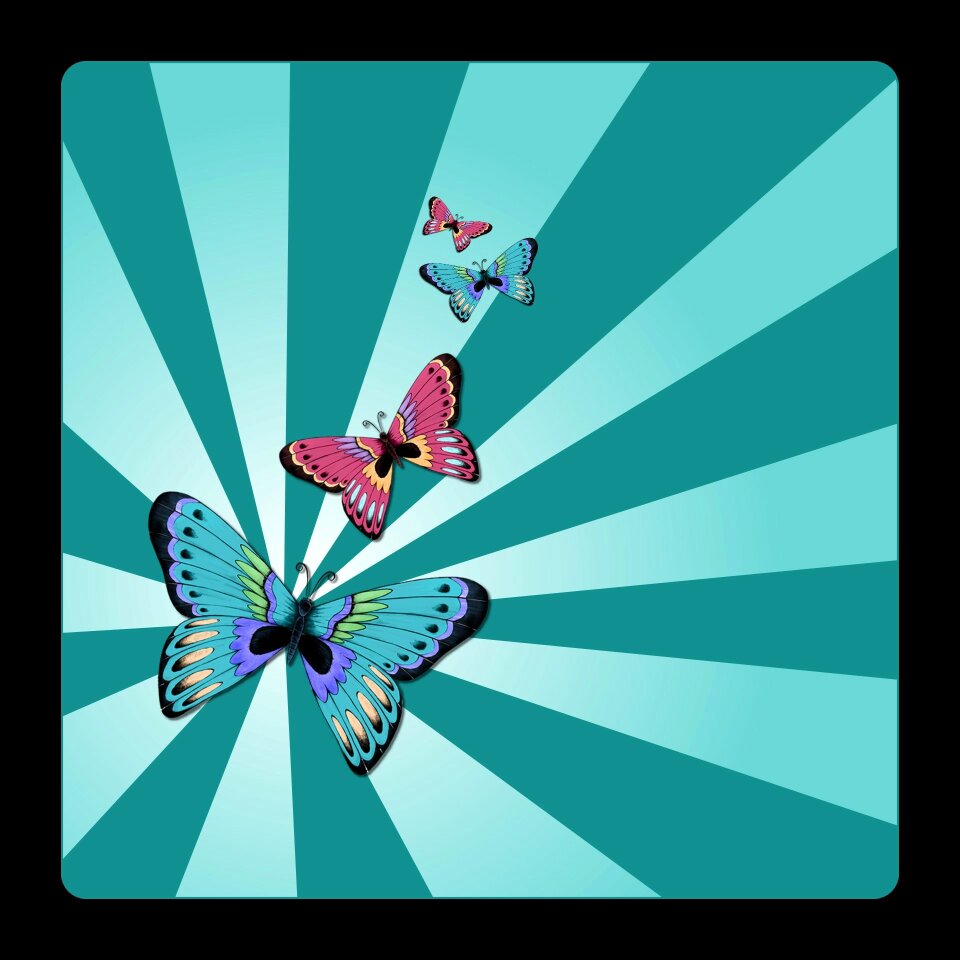 Flying colorful Free illustrations