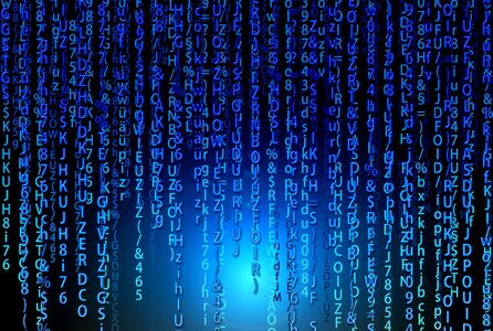 Data digital network