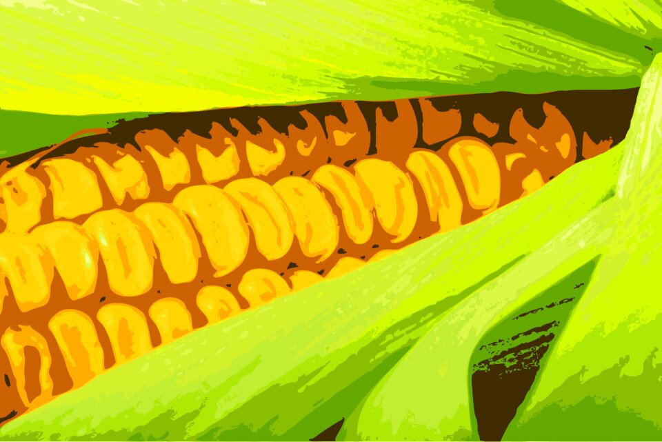 Art close-up food