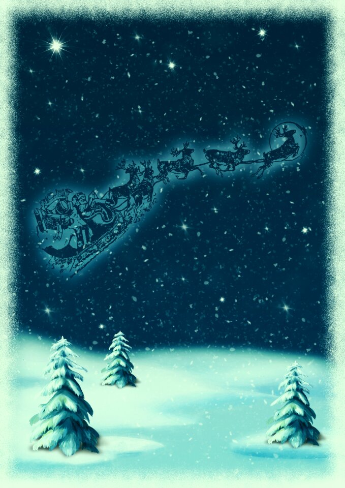 Firs snow christmas