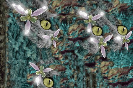 Abstract textures Free illustrations