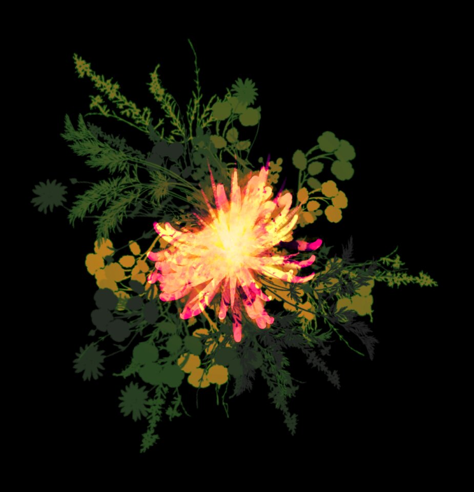 Ornament leaves Free illustrations