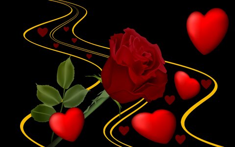 Hearts black background rosa