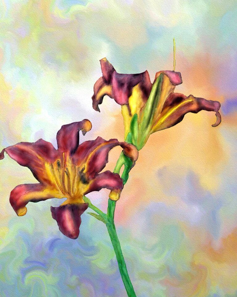 Abstract decoration decorative