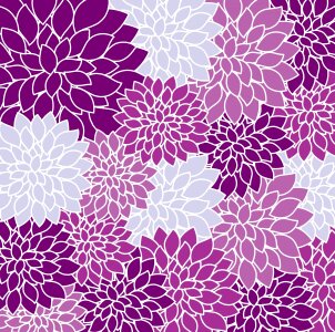 Dahlia purple background