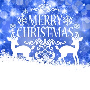 Christmas holiday celebration