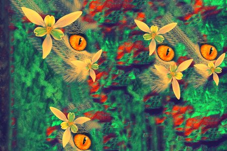 Abstract textures Free illustrations