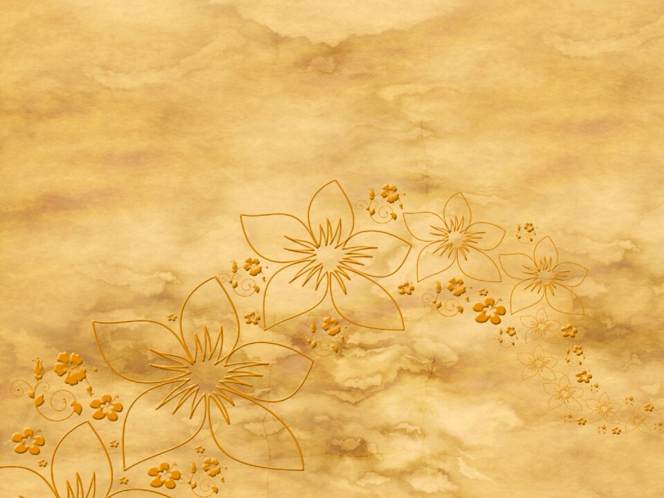 Circle flowers blossom
