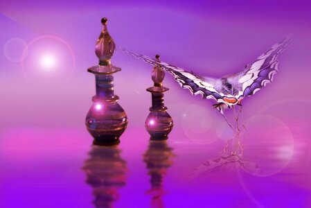 Butterfly color Free illustrations