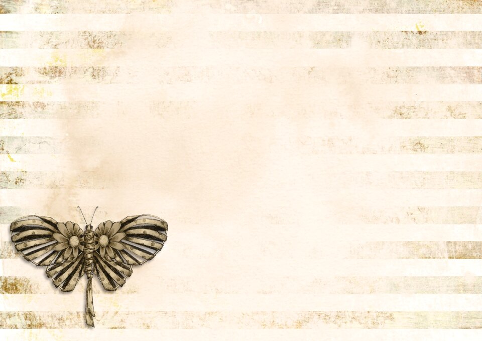 Butterfly background grunge