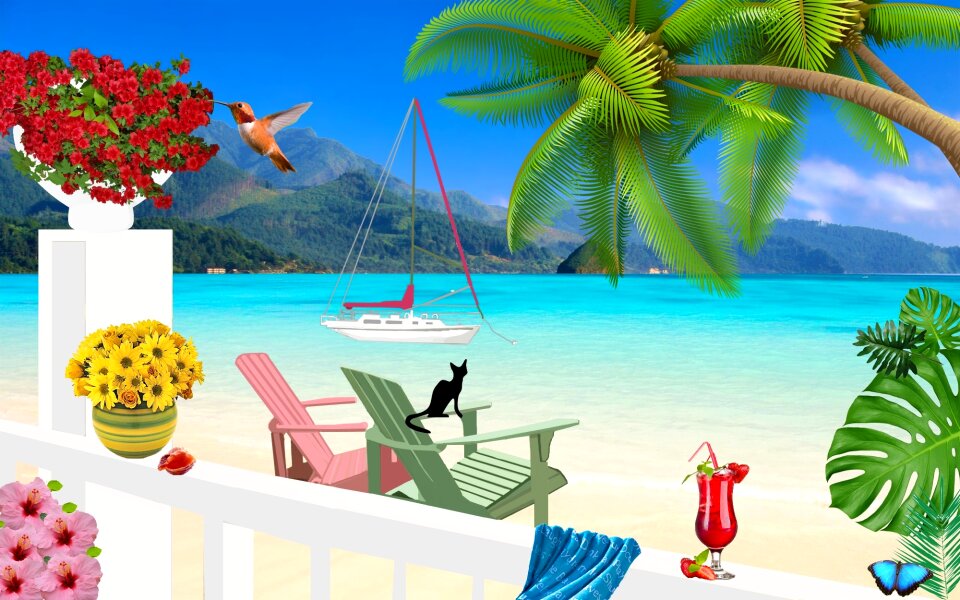 Flowers sailboat black cat
