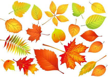 Nature isolated vector