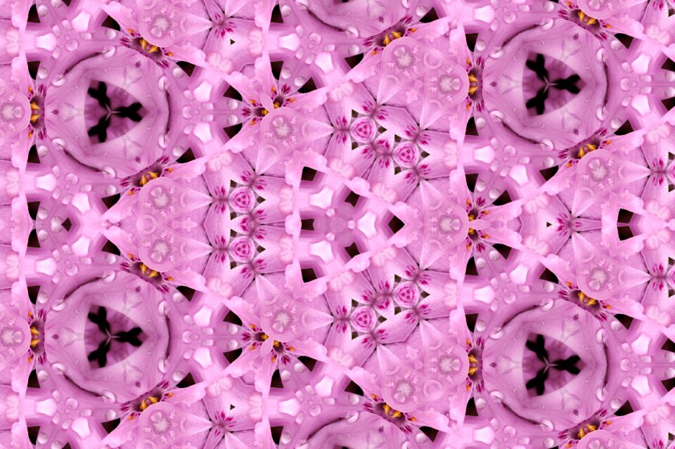 Color plant floral