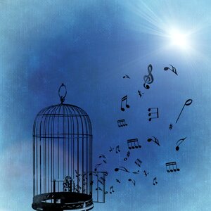 Melody freedom Free illustrations