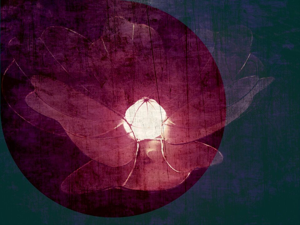 Flower figure Free illustrations