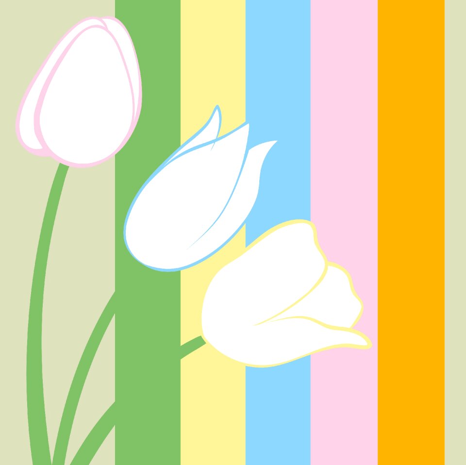 Nature flowers blossom