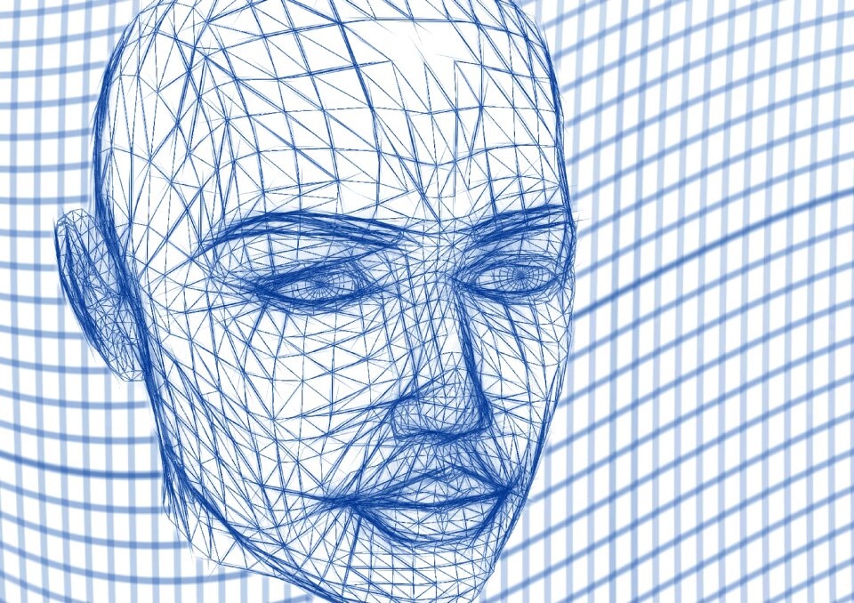Lines web network