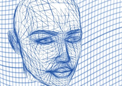 Lines web network