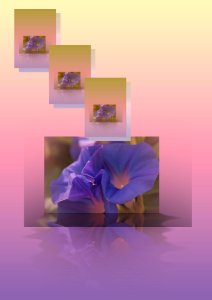 Color assembly Free illustrations