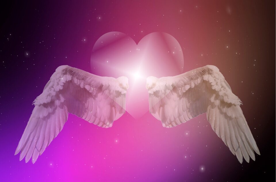 Love flying heart feelings