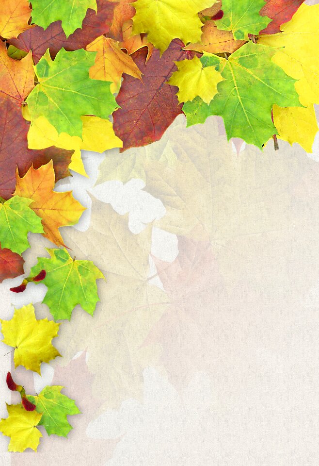 Stationery decoration background