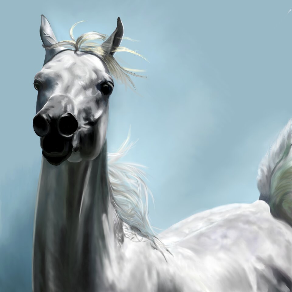 Running horse white horse blue running