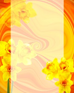 Background stationery greeting card