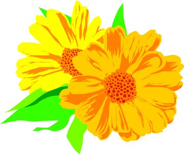Plant nature Free illustrations