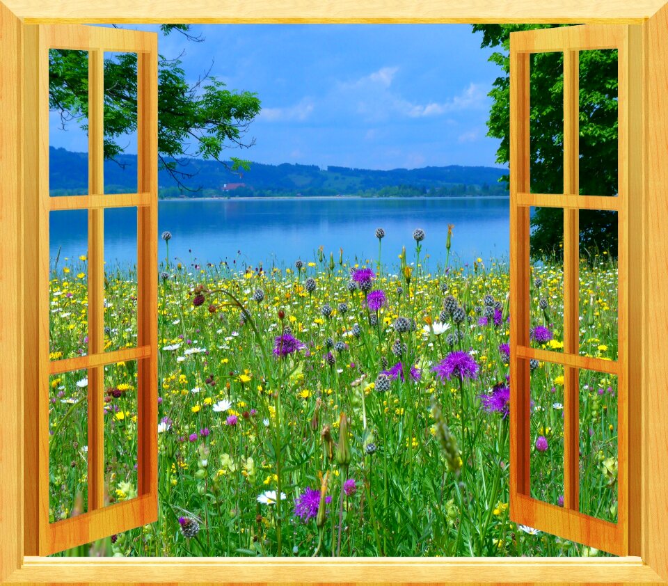 Summer lake landscape