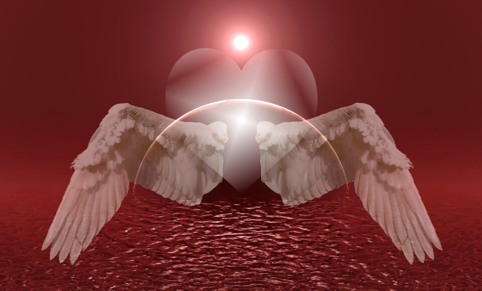Love affection pink