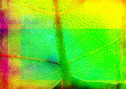 Design summer tropical