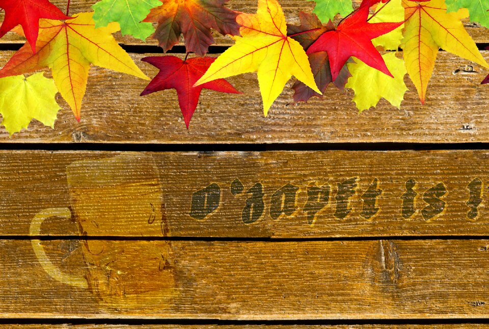 Autumn bulletin board boards