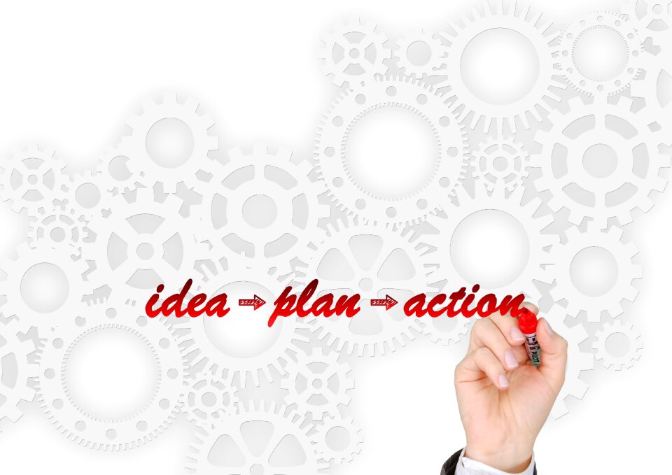 Business executive plan