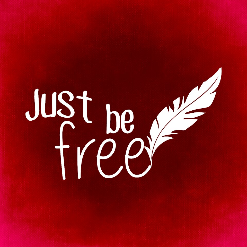 Red feather Free illustrations