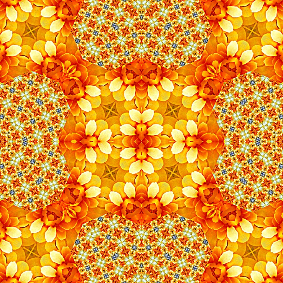 Flowers yellow Free illustrations