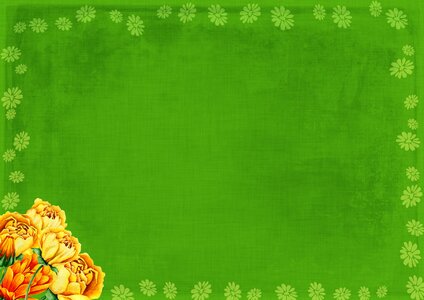 Vintage green yellow