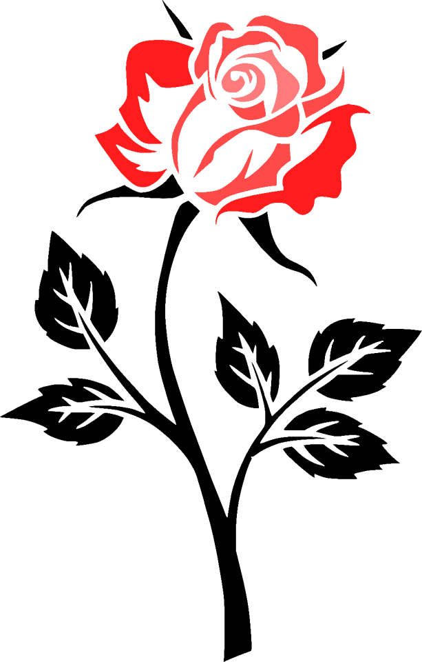 Outlines black pink
