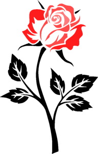 Outlines black pink