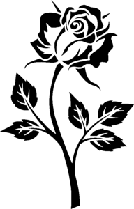 Outlines black and white black