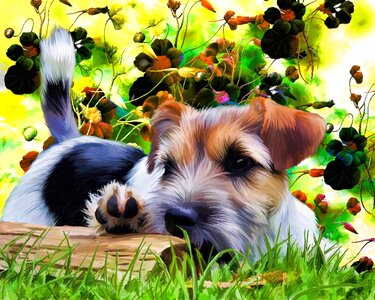 Flowers cute pet