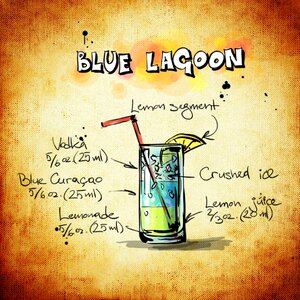Alcohol recipe party