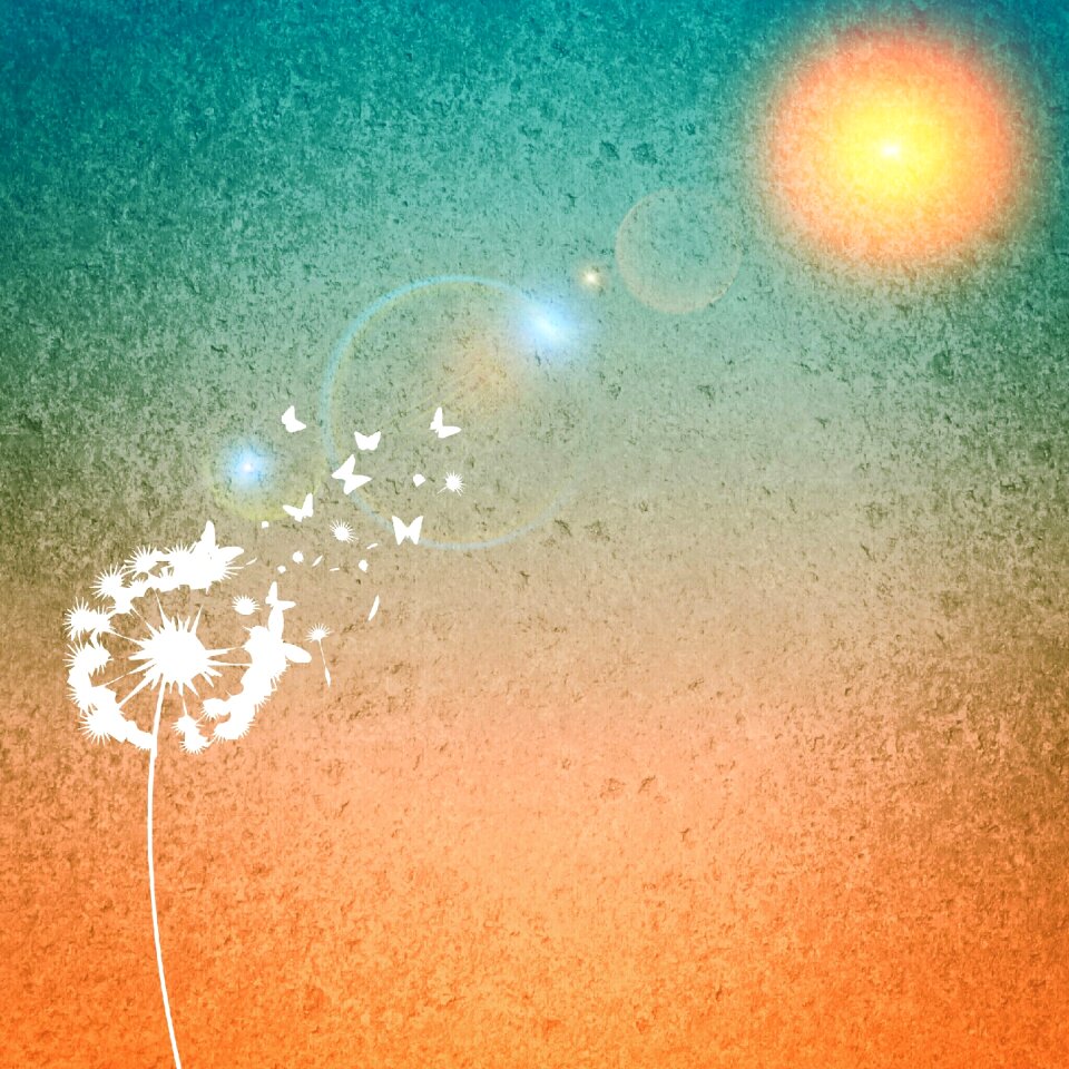 Sun dandelion Free illustrations