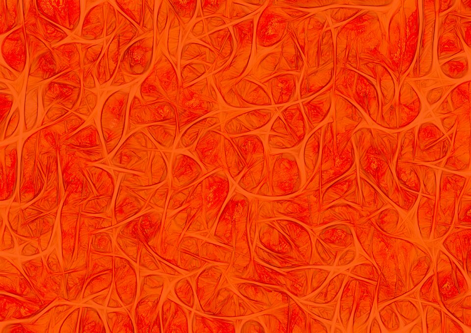 Nerves cells dendrites sepia
