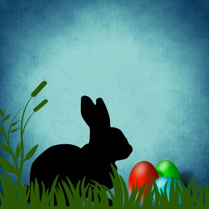 Egg greeting card Free illustrations