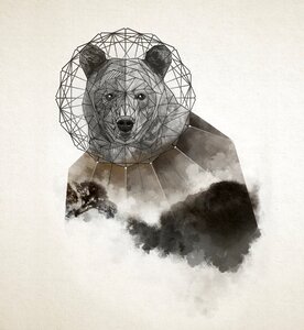 Creative wildlife polygonal