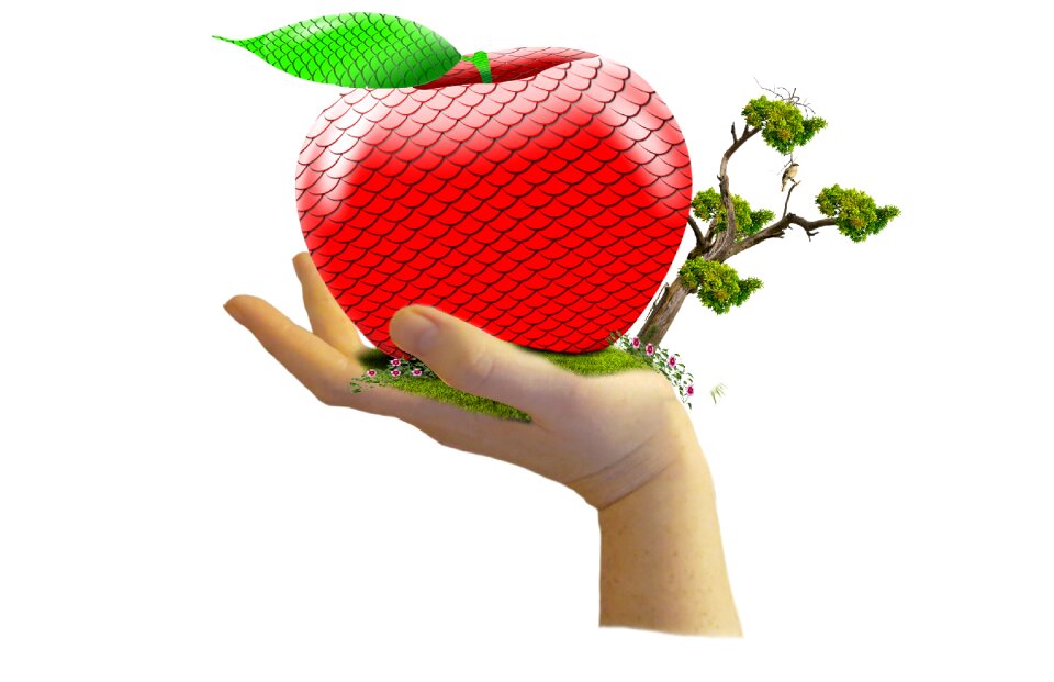 Apple hand Free illustrations